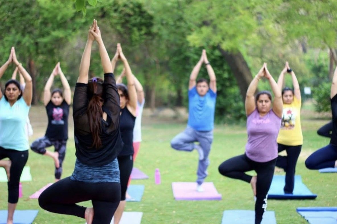 Outdoor tree pose class